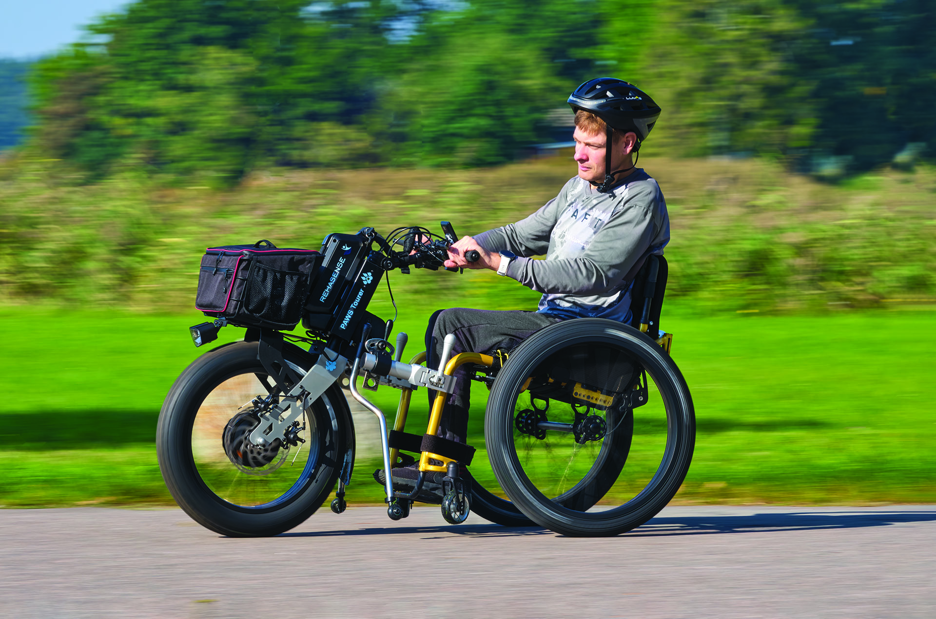 DSF8460 1 standard scale 1 00x gigapixel kopia min